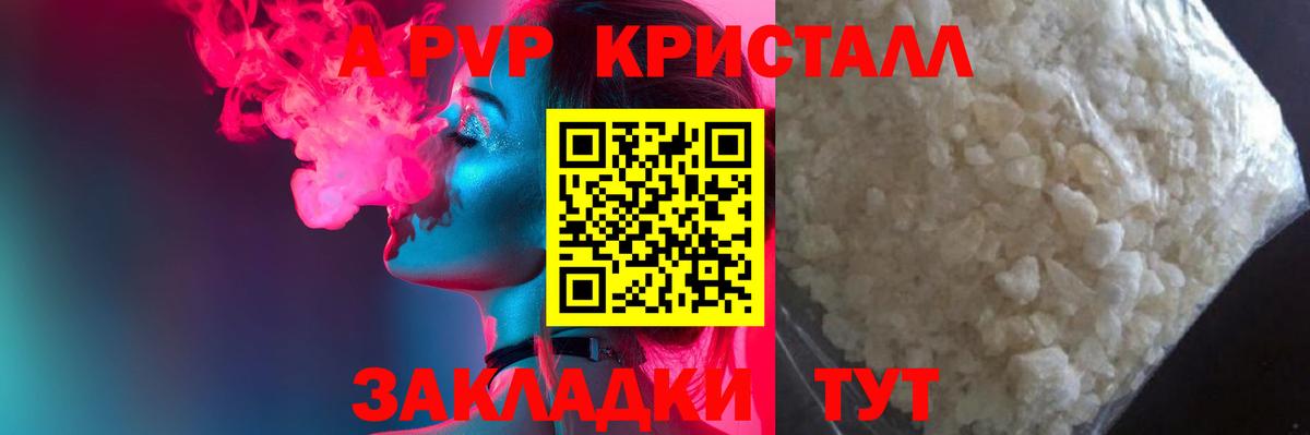 A PVP СК Саратов