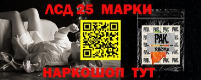 гидропоника Пугачёв