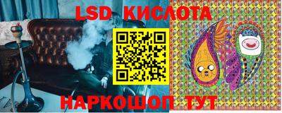 гидропоника Пугачёв