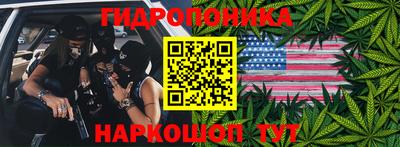 гидропоника Пугачёв