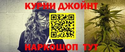 гидропоника Пугачёв