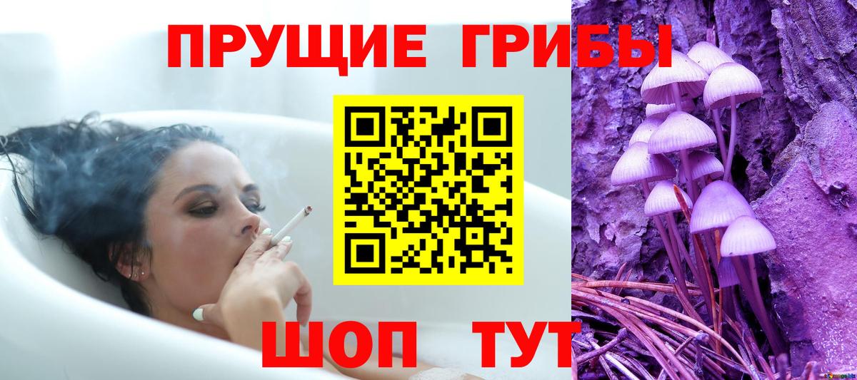 Псилоцибиновые грибы MAGIC MUSHROOMS  купить наркоту  Саратов  Вход с VPN 
